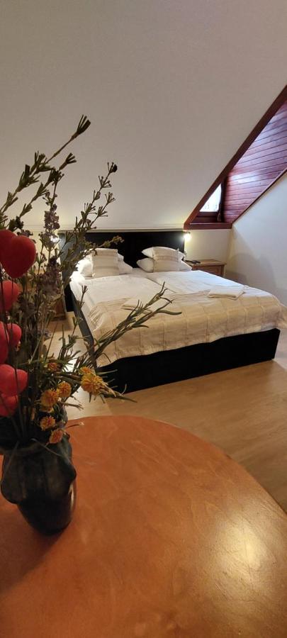 Bed and Breakfast Forras Fogado Бюкксек Экстерьер фото