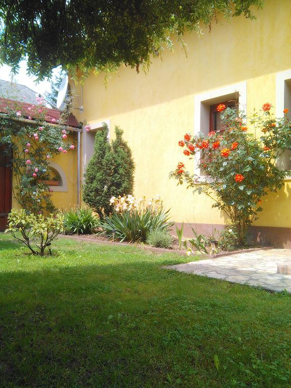 Bed and Breakfast Forras Fogado Бюкксек Экстерьер фото